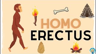 Homo Erectus [upl. by Aihsilef]