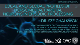 Local and global profiles of dorsomedial parietal neurons in episodic processing [upl. by Apul]