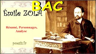 Émile Zola  Thérèse Raquin Analyse [upl. by Enomyar539]