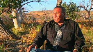 Chief Arvol Looking Horse Speaks of White Buffalo Prophecy [upl. by Aneala]