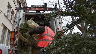 Agglomération Lyonnaise Collecte des sapins [upl. by Teufert227]