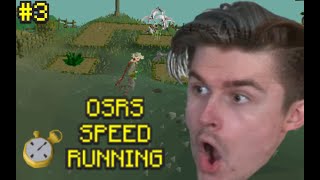 Speed Running every Tree Patch in OSRS [upl. by Jeanie]