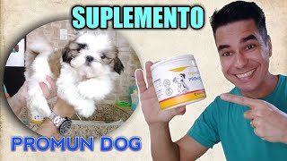 Suplemento para cães [upl. by Horwitz357]