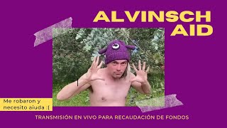 AlvinschAid CONCIERTO en Directo [upl. by Fidole]