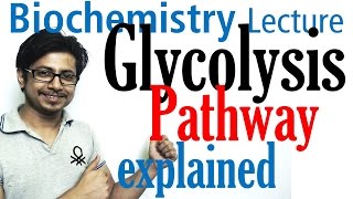 Glycolysis biochemistry [upl. by Liuqnoj]