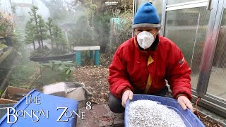 Mixing Up My Bonsai Soil The Bonsai Zone Nov 2021 [upl. by Eisinger]