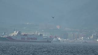 Fast Ferry Entering Port of Algeciras 31 Dec 2023 [upl. by Gib]