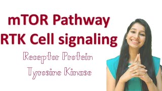 mTOR SignalingRTK pathwaycell signalingCSIRgateiitjamdbticmrICARlife sciencebansal Biology [upl. by Ranger250]