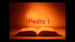 BIBLIA HABLADA 1PEDRO completo RV 1960 [upl. by Kelsey]