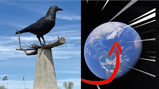 quotAAWWRRR AWWWWR Worlds largest crow found on Google Earth  googleearth discoverearth [upl. by Julide]