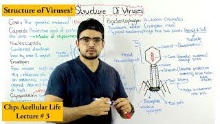 Structure of bacteriophage [upl. by Ardnaed929]