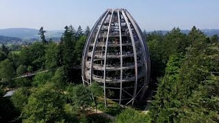 VOM WALD das BESTE  die Ferienregion Nationalpark Bayerischer Wald stellt sich vor [upl. by Marcelle823]