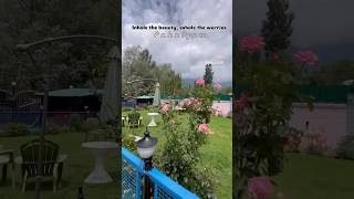 Inhale the beauty exhale the worries pahalgam youtubeshorts kashmir travel [upl. by Aiouqes543]