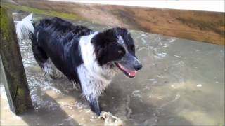 Long Clawson Flood 2012 [upl. by Drarej]