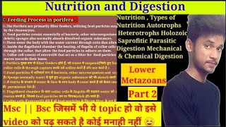 Nutrition and Digestion in Lower Metazoan  Msc 1st year  Feeding amp Digestion In Porifera  Part 2 [upl. by Deni]