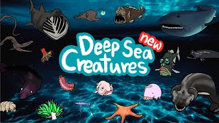 Deep sea animals 2  What kind of fish lives under the deep sea  Kids Draw [upl. by Helmut718]