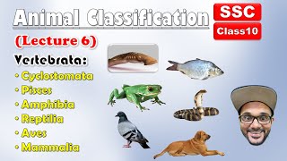 Animal Classification Lecture 6  Sub phylum VertebrataAll Classes  Class 10  SSC  state board [upl. by Adnerb]