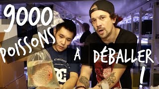 9000 POISSONS DAQUARIUM À DÉBALLER  VLOG TOOPET [upl. by Francklin364]