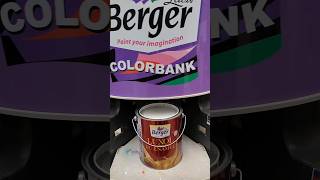 Berger paints 🎨🖌️ colour paint berger pasting youtube shorts viral [upl. by Aetnahc399]