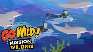 Go Wild Mission Wildnis  Gefiederte Tänzer Trailer  Folge 12 [upl. by Eachelle]