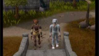 Were Going On A Bear Hunt In Runescape [upl. by Aihceyt259]