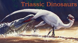 The Dinosaurs of the Triassic Period A Summary of the First Dinosaurs and their Rise to Dominance [upl. by Kiyoshi]