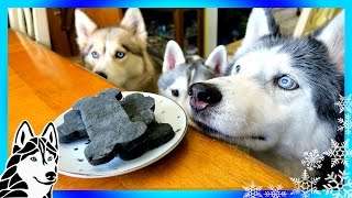 DIY DENTAL DOG TREATS  DIY Dog Treats  Snow Dogs Snacks 64  Dental Chews [upl. by Renmus135]