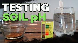 How to Test and Measure Your Soil pH at Home [upl. by Sitoeht339]