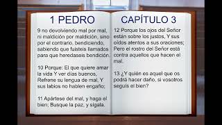 LA BIBLIA HABLADA quot 1 PEDRO 1 AL 5 quot COMPLETO NUEVO TESTAMENTO [upl. by Adnamar]