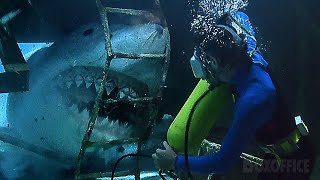 This shark gave nightmares to a whole generation  Jaws The Revenge Best Scenes 🌀 4K [upl. by Chiles]