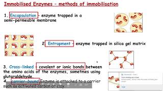 621 Cloning and biotechnology lo i immobilsed enzymes [upl. by Ardaid274]