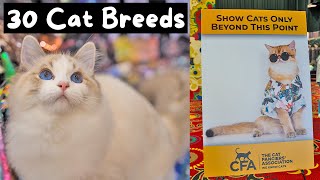 Meet Every Cat Breed at the Largest Cat Show in the World CFA International 2023  The Cat Butler [upl. by Eniruam]