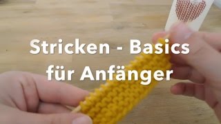 Tutorial Stricken  Basics für Anfänger [upl. by Solenne251]