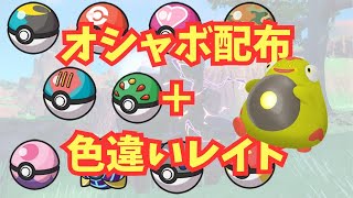 【自由参加可能！】オシャボ配布＋色違いレイド【ポケモンSV】 [upl. by Ivers]