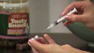 How to Vaccinate Your Dog at Home DrsFosterSmith [upl. by Ancilin565]