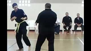 International Sanchin Bushi Ryu Karate Seminar May 2012 Kumite [upl. by Josias]