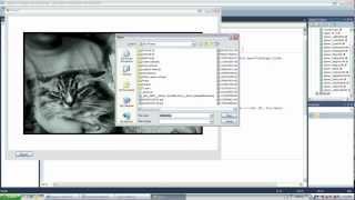 Visual Basic How To Face Recognition [upl. by Eatnoj]