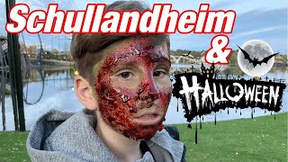 Vlog 205 Schullandheim amp Halloween  Stefan und John [upl. by Cull]