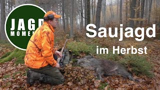 JagdMomente  Folge 5  Drückjagd amp Ansitz auf Sau amp Reh im Herbst [upl. by Elfrieda]