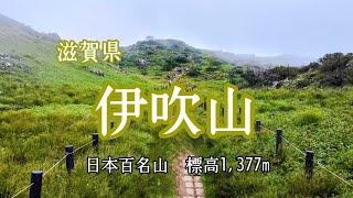 【登山】子供からお年寄りまで老若男女を問わず登れる！伊吹山９合目からの山歩き [upl. by Airotciv]