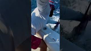 Huge Billfish offshorefishing fyp viralshorts subscribe [upl. by Ive]