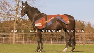 RENT A VET  das BEMER® Vet Horse Set fuer Pferde [upl. by Anifesoj153]