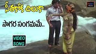 Seethakoka ChilakaTelugu Movie Songs  Saagara Sangamame Video Song  TVNXT [upl. by Rosana]