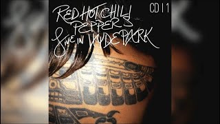 FORTUNE FADED  Red Hot Chili Peppers  Guitar Backing Track  Hyde Park 2004 [upl. by Ahsirtap]