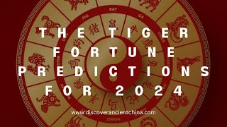 The Tiger Fortune Predictions for 2024 [upl. by Thackeray425]