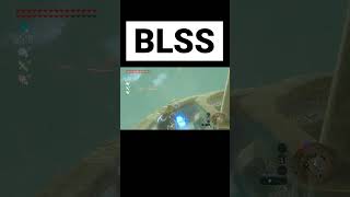 BLSS やり方解説 ゼルダの伝説 ブレワイ ティアキン [upl. by Shank525]