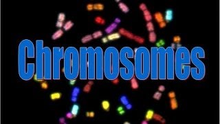 Chromosomes [upl. by Syla]