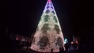 Longleat Singing Christmas Tree Show [upl. by Mond]