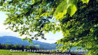 Entspannung Video Geführte Meditation Traumreise CD zum enstpannen [upl. by Normand]