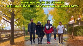 MUSIM GUGUR DI JEPANG  OKAYAMA UNIVERSITY MOMIJI [upl. by Naamana]